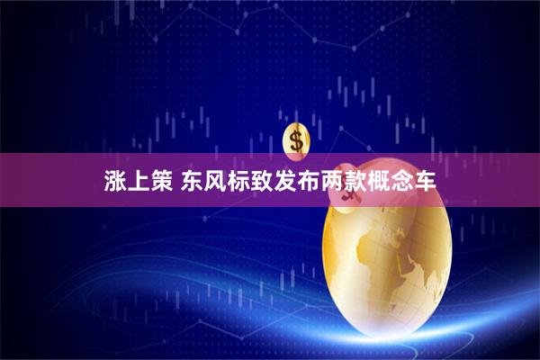 涨上策 东风标致发布两款概念车
