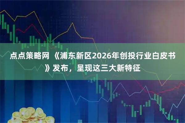 点点策略网 《浦东新区2026年创投行业白皮书》发布，呈现这三大新特征