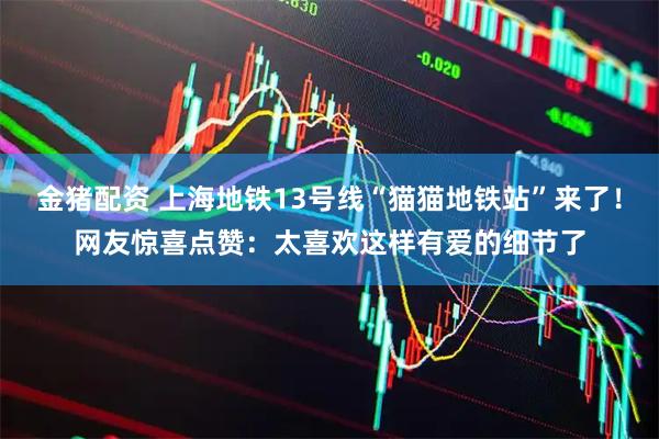 金猪配资 上海地铁13号线“猫猫地铁站”来了！网友惊喜点赞：太喜欢这样有爱的细节了