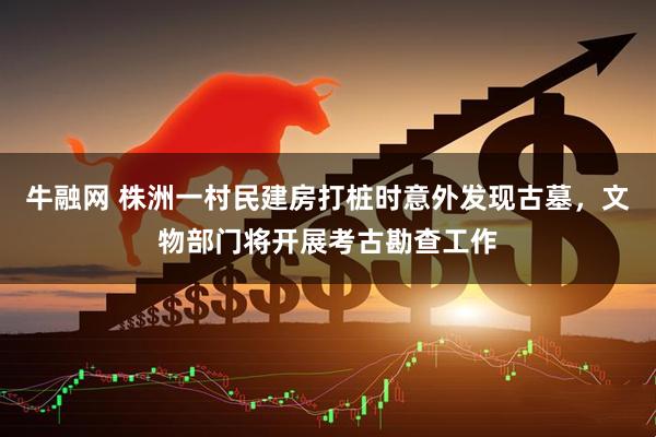 牛融网 株洲一村民建房打桩时意外发现古墓，文物部门将开展考古勘查工作